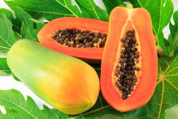 木瓜炖猪脚木瓜要削皮吗,木瓜要削皮吗