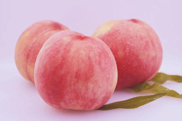 蜜桃能和芒果一起吃吗?,芒果和水蜜桃能一起吃吗