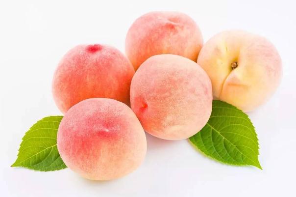 水蜜桃有哪些营养价值,水蜜桃有什么营养价值