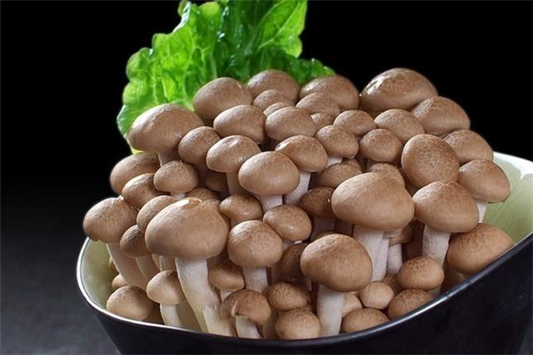 蟹味菇要焯水多久,蟹味菇需要焯水多久 蟹味菇要焯水多久,蟹味菇需要焯水多久