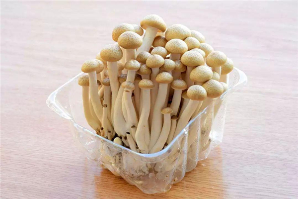 蟹味菇减肥可以吃吗,蟹味菇咋吃