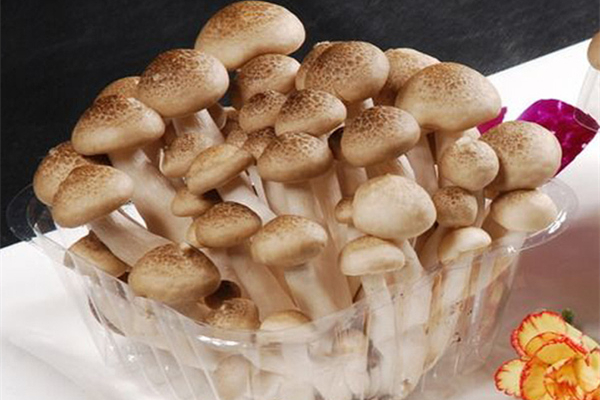 蟹味菇和什么搭配最好,蟹味菇和什么搭配好吃