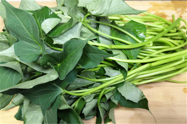 什么人不能吃红薯叶,红薯叶不适合什么样的人群吃 什么人不能吃红薯叶,红薯叶不适合什么样的人群吃