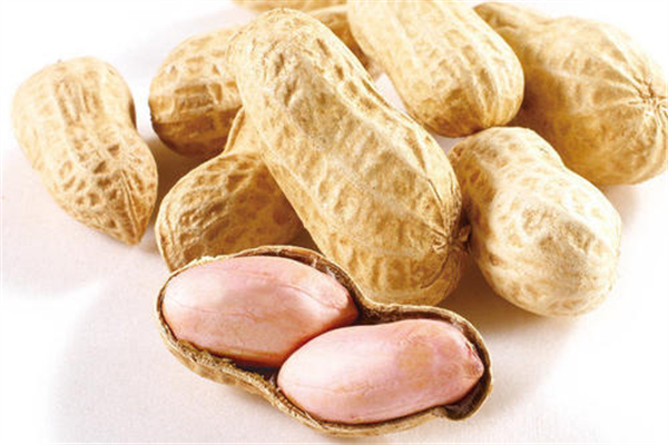 花生生吃的功效和作用,花生作用和功效
