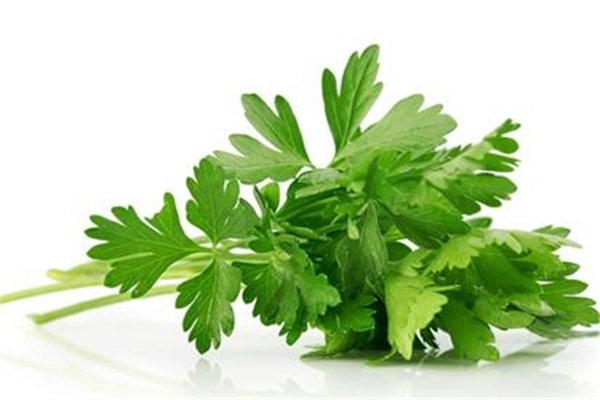 芹菜叶子为什么要扔掉,芹菜叶子要弄掉吗