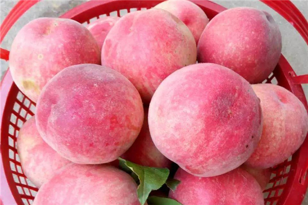 桃子裂了是什么原因,桃子开裂是怎么回事