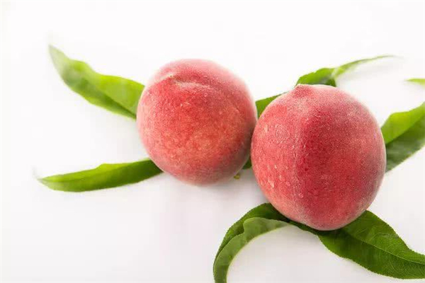 桃子怎么挑选,桃子怎么挑选比较甜的