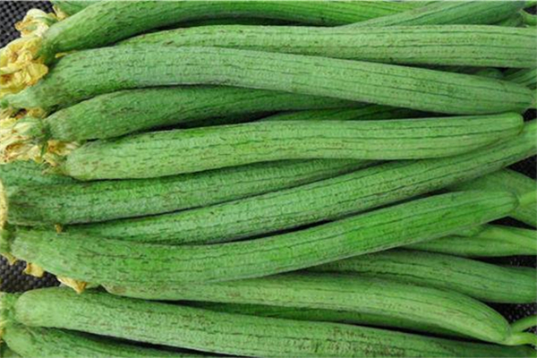 丝瓜放冰箱可以放几天,丝瓜放冰箱一周能吃吗