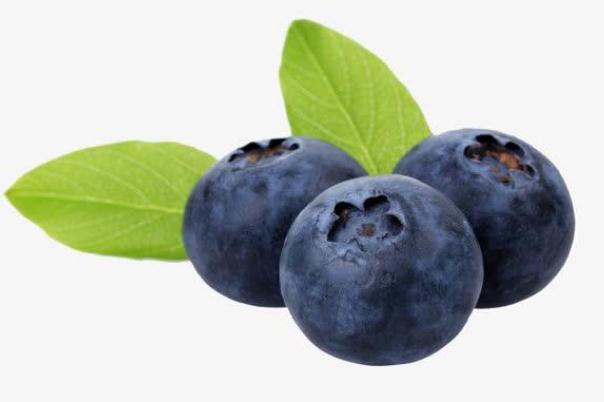 蓝莓为什么护眼,蓝莓护眼吗