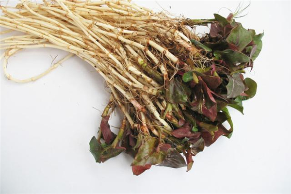 鱼腥草怎么去腥味,鱼腥草怎么去腥凉拌