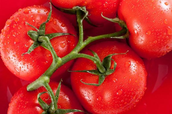 西红柿能和西瓜一起吃吗,西瓜和西红柿可以一起吃吗