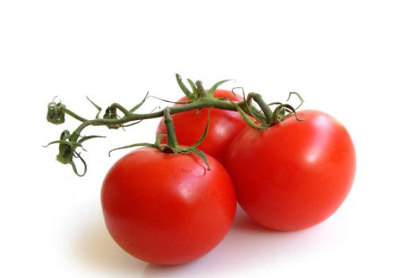 西红柿生吃能减肥吗,西红柿减肥可以吃吗