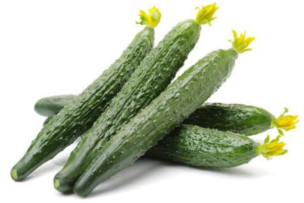 黄瓜的营养价值及功效,黄瓜的营养价值及功效和禁忌