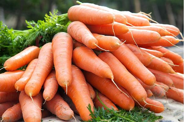 生吃胡萝卜的好处和坏处,生吃胡萝卜的好处和功效