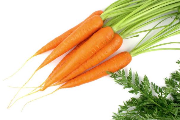 白萝卜可以减脂肪吗,白萝卜加什么减肥效果最好 白萝卜可以减脂肪吗,白萝卜加什么减肥效果最好