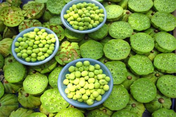 莲子的营养价值(莲子的营养价值及功效)