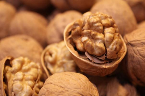 核桃可以补肾虚吗,核桃可以补肾吗