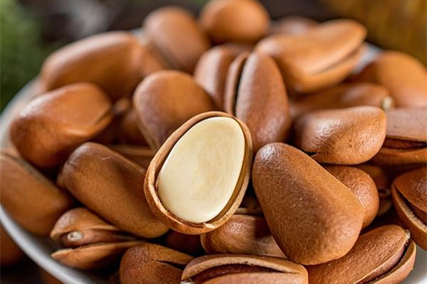 开口松子哪里的最好,松子是怎么开口的