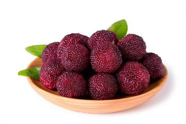 杨梅有酒精含量吗,杨梅酒的酒精度是多少