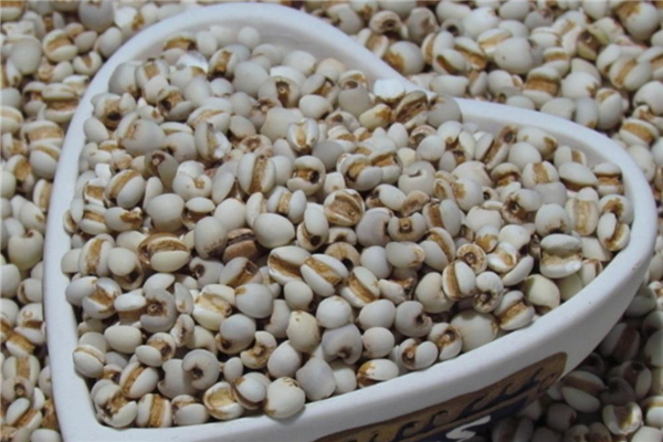 薏米每次吃多少合适,薏米吃多少为宜