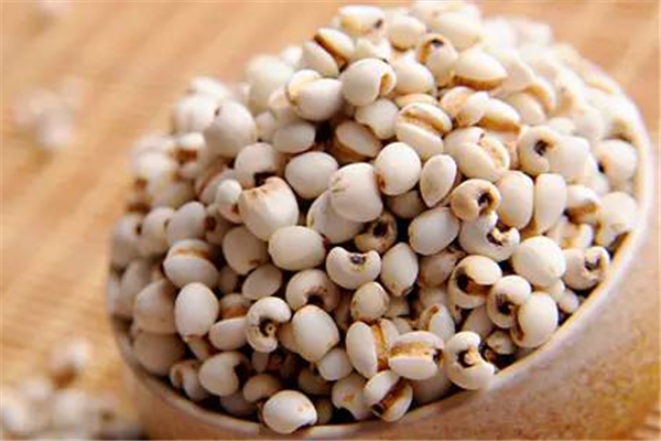 薏米怎么吃最除湿减肥,薏米怎么吃最除湿健脾