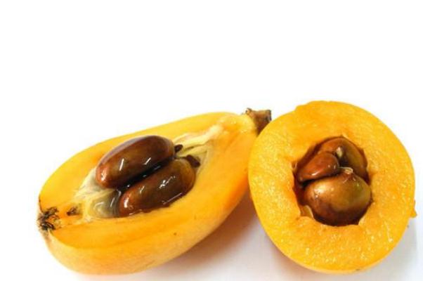 枇杷核怎么吃治咳嗽化痰,枇杷核怎么吃治咳嗽最好 枇杷核怎么吃治咳嗽化痰,枇杷核怎么吃治咳嗽最好