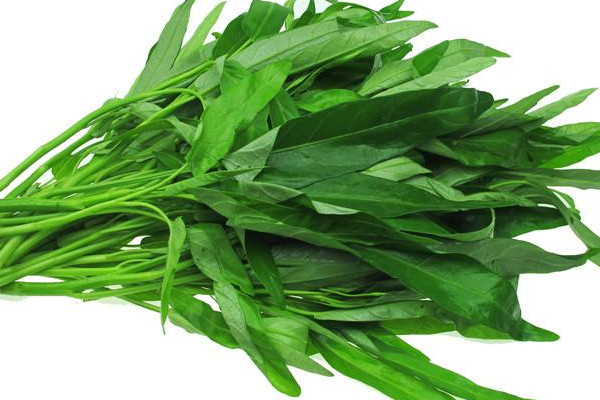 胃不好能吃空心菜吗,胃不好能吃菜心吗