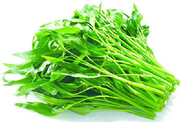 空心菜的功效和作用,空心菜的功效和作用及禁忌 空心菜的功效和作用,空心菜的功效和作用及禁忌