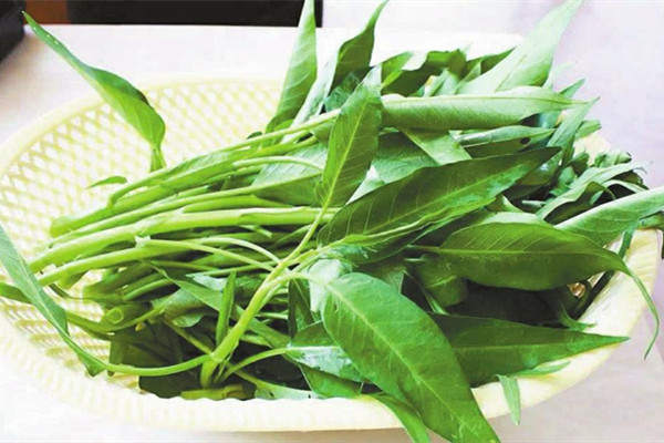 空心菜怎么炒好吃又简单的做法,包心菜怎样炒好吃