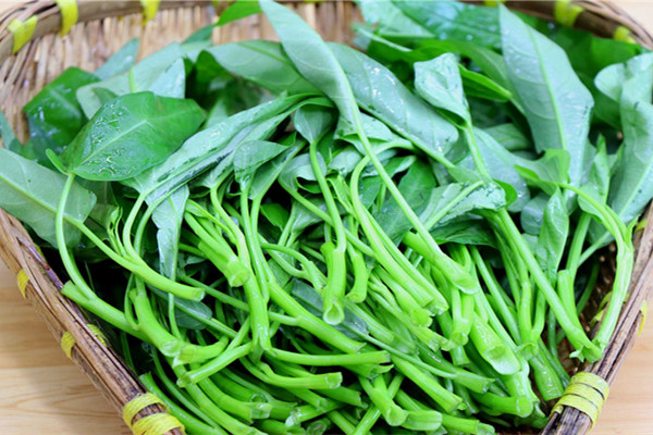 为什么说空心菜有毒性,为什么说空心菜有毒