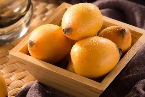 枇杷为什么能治咳嗽,枇杷能治咳嗽吗? 枇杷为什么能治咳嗽,枇杷能治咳嗽吗?