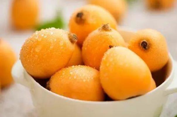 枇杷的营养价值和作用,枇杷的营养价值和食用功效