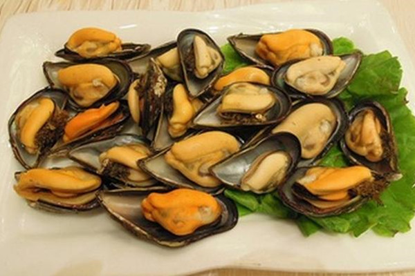 海虹是动物还是植物,虹是一种什么动物