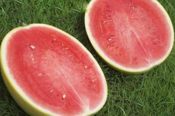 西瓜红红薯耐储存吗,西瓜存放适合什么温度