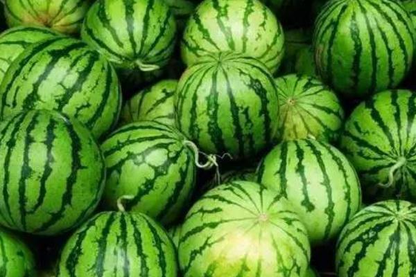 西瓜的营养价值是什么水果的几倍,西瓜的营养价值是什么?