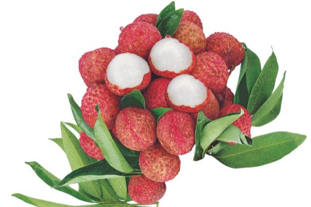 荔枝什么品种比较好吃,荔枝哪种品种好吃