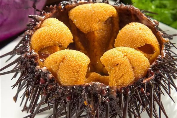 海胆吃的是哪个部位,海胆吃的是哪个部位是雄的还是雌