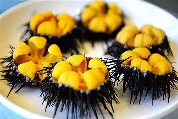 海胆好吃吗?什么感觉,海胆好吃吗什么味道