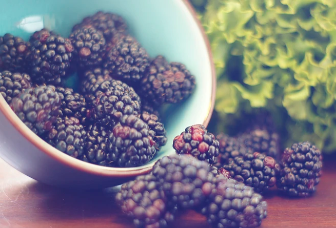 自制纯正桑葚酒的方法,自酿桑葚酒的方法步骤 自制纯正桑葚酒的方法,自酿桑葚酒的方法步骤