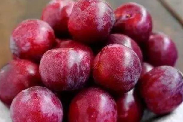 李子含有什么维生素,李子含有什么维生素多 李子含有什么维生素,李子含有什么维生素多