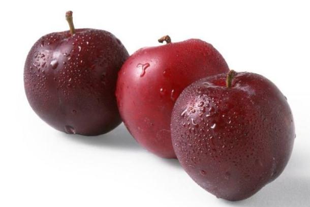 李子可以降血糖吗?,李子糖尿病的人能吃吗 李子可以降血糖吗?,李子糖尿病的人能吃吗