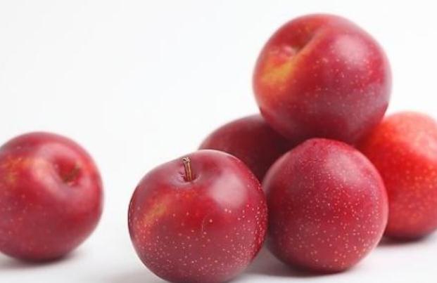 李子什么品种最好吃,李子品种最好的优良品种 李子什么品种最好吃,李子品种最好的优良品种