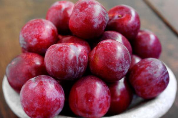 李子什么时候成熟?,李子什么时候成熟季节 李子什么时候成熟?,李子什么时候成熟季节