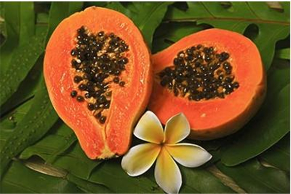 木瓜怎么催熟比较快,木瓜怎么催熟最快