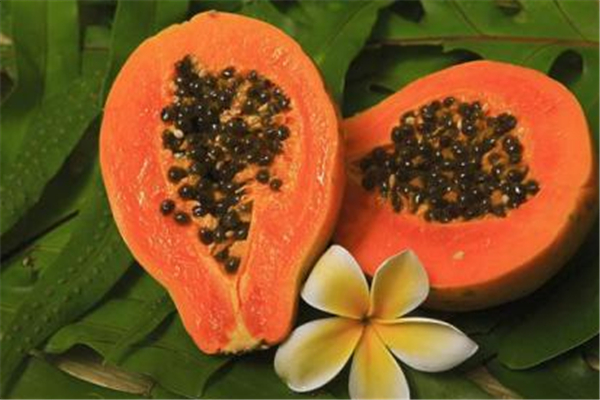 木瓜孕妇吃了有什么好处,孕妇吃木瓜有什么好处和坏处