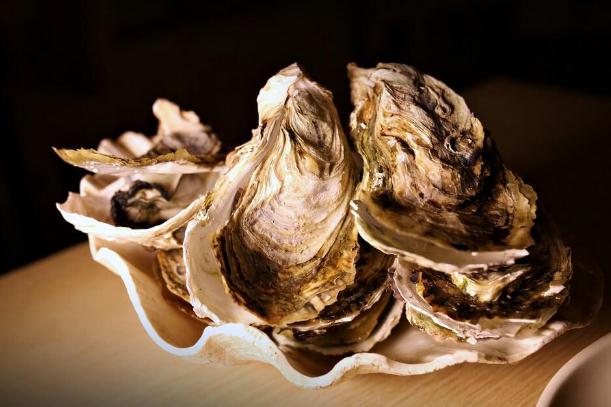 吃生蚝喝啤酒会怎样,吃生蚝喝酒会怎么样