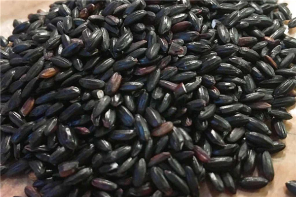 黑米饭怎么做好吃又烂,黑米饭怎么做才容易熟