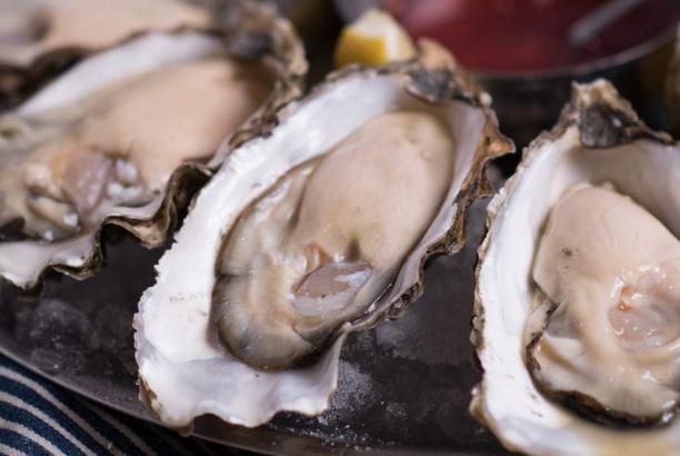 带壳的生蚝冷冻可以保存多久,带壳生蚝放保鲜可以放多久