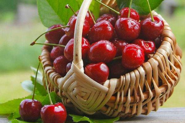 酸樱桃怎么吃,樱桃可以怎么吃