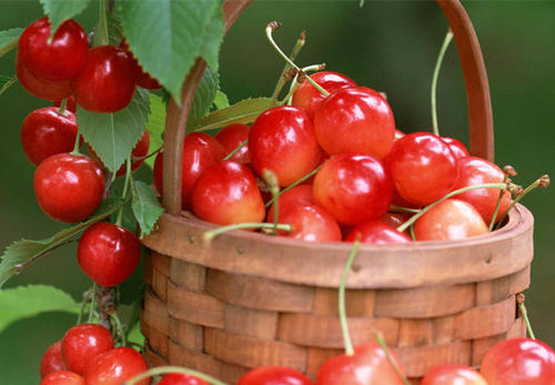 吃樱桃上火了怎么去火,吃樱桃上火了怎么办